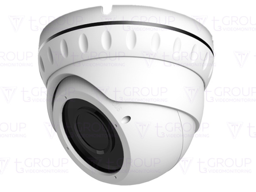 Купольная антивандальная IP видеокамера AltCam IDMV51IR