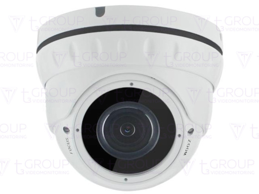 Купольная антивандальная IP видеокамера AltCam IDMV51IR