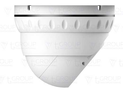 Купольная антивандальная IP видеокамера AltCam IDMV23IR