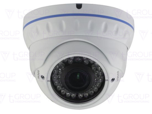 Купольная антивандальная IP видеокамера AltCam IDMV24IR