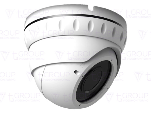 Купольная антивандальная IP видеокамера AltCam IDMV51IR